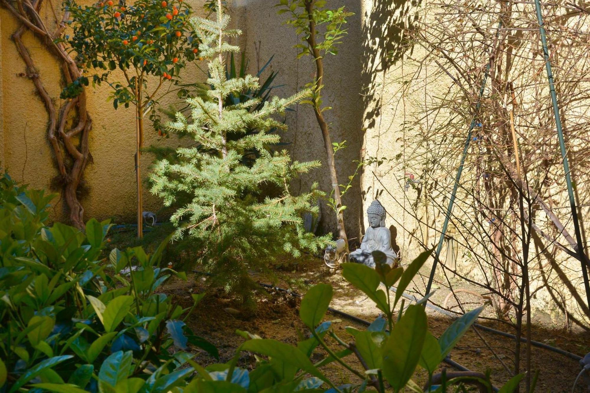 コルフ島Τhe Hidden Gardenアパートメント エクステリア 写真