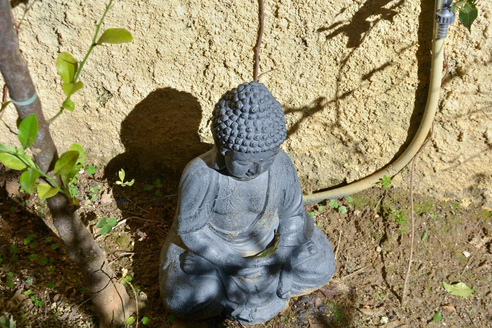 コルフ島Τhe Hidden Gardenアパートメント エクステリア 写真