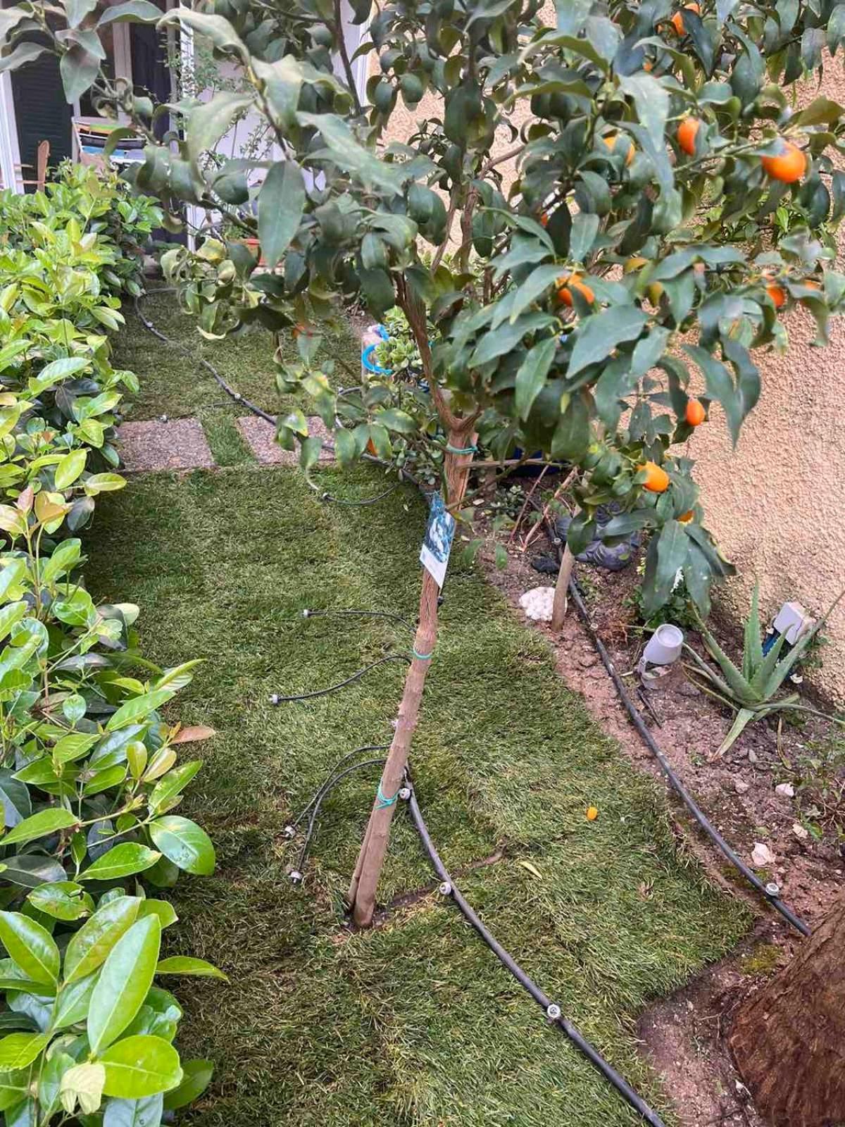 コルフ島Τhe Hidden Gardenアパートメント エクステリア 写真