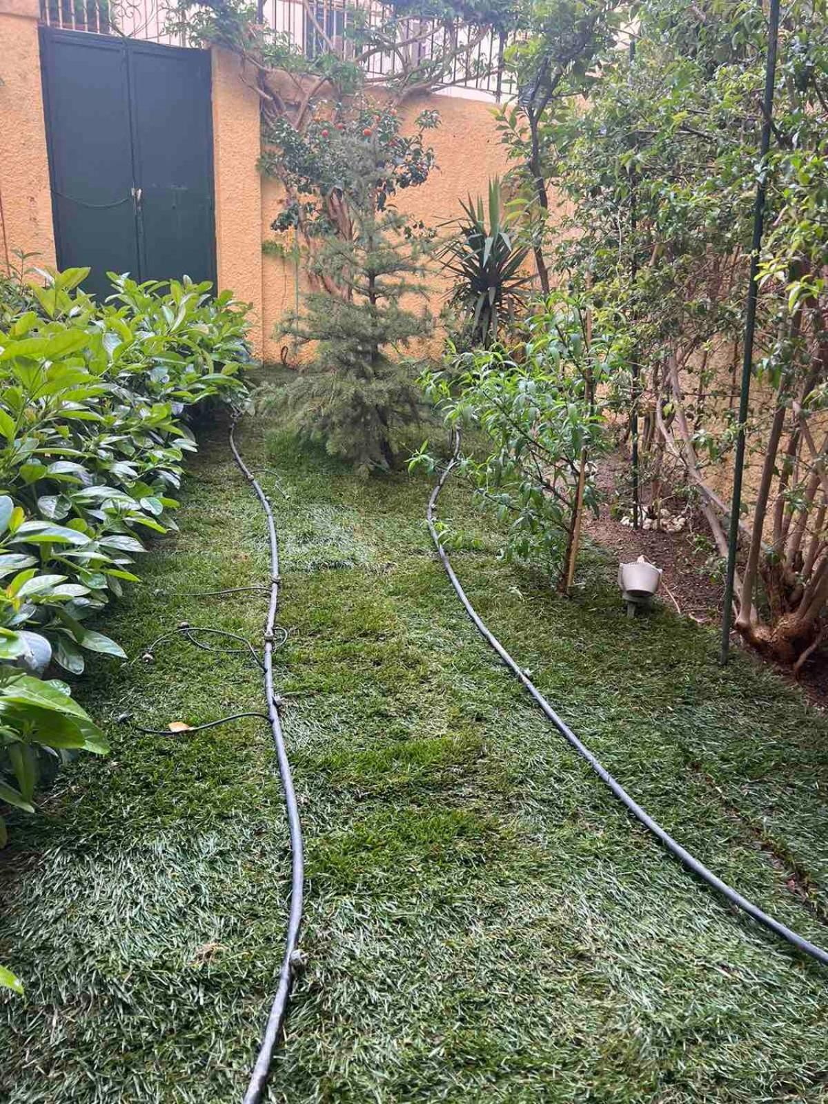 コルフ島Τhe Hidden Gardenアパートメント エクステリア 写真