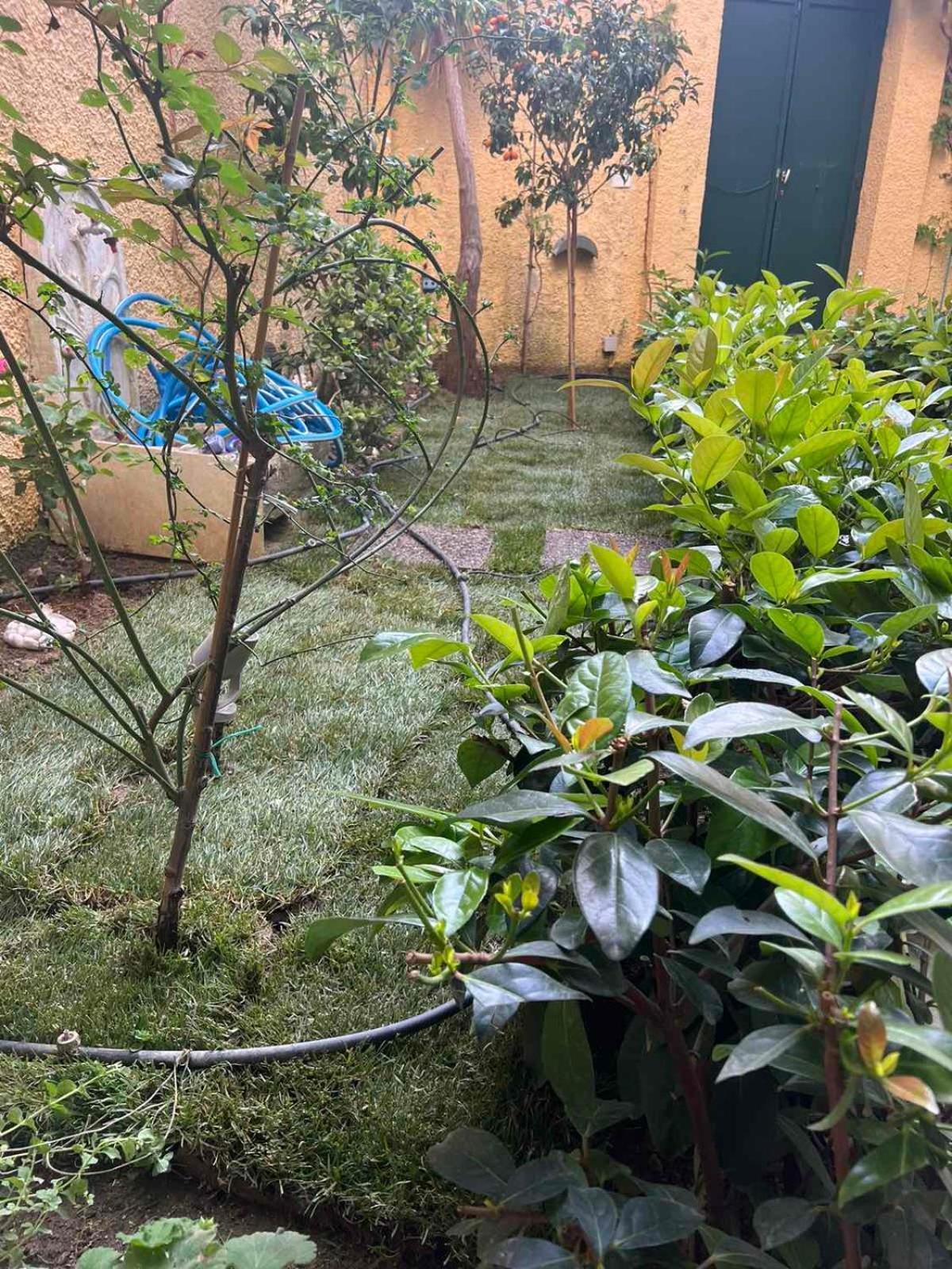 コルフ島Τhe Hidden Gardenアパートメント エクステリア 写真