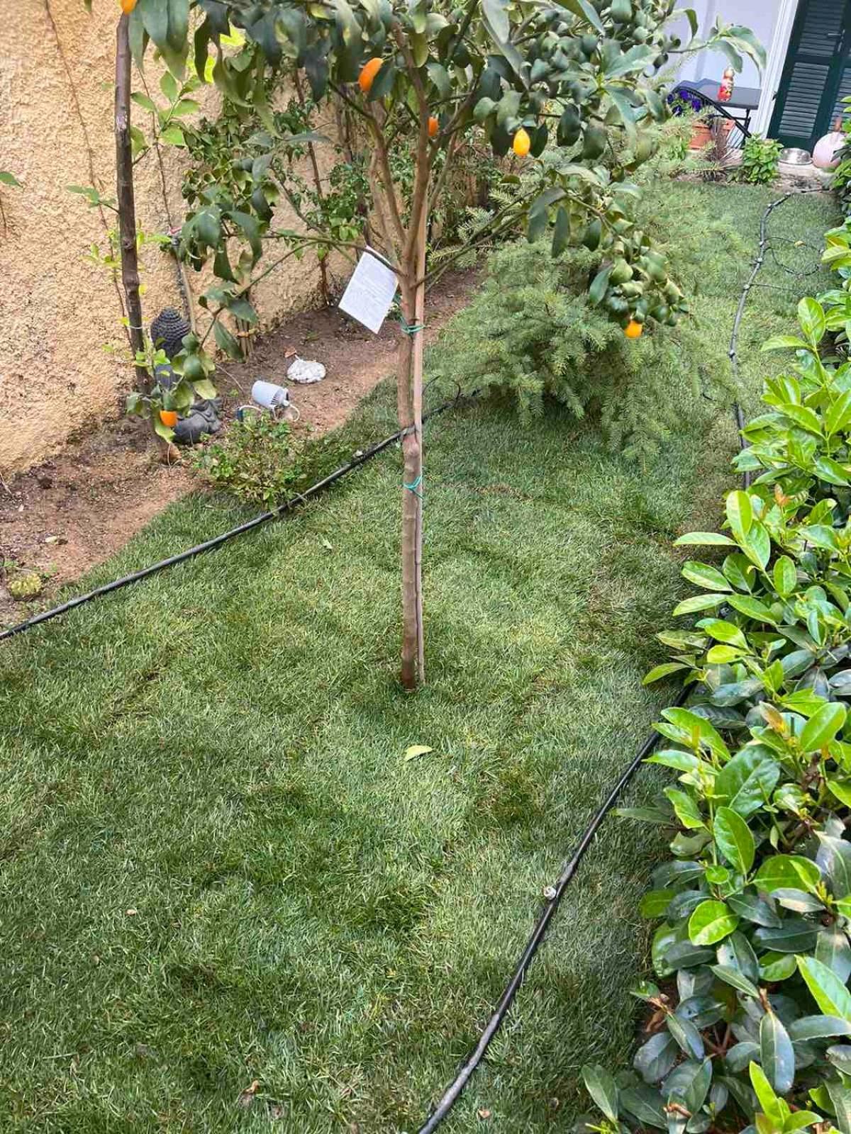 コルフ島Τhe Hidden Gardenアパートメント エクステリア 写真